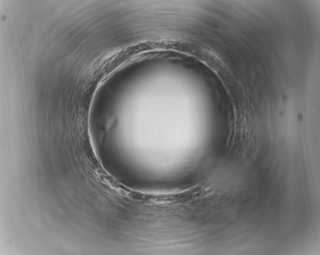 X0000052930773200507221120