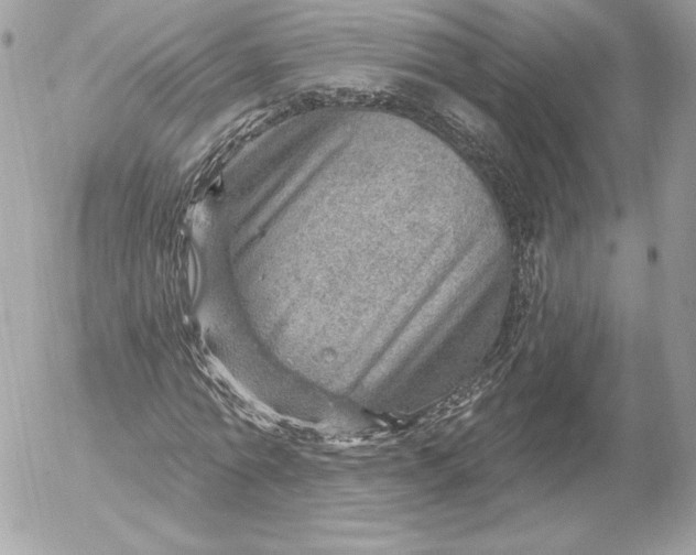 X0000052930774200507221120