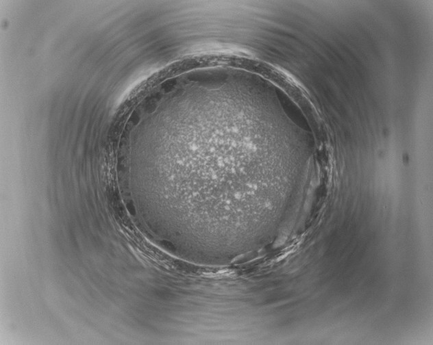 X0000052930775200507221120