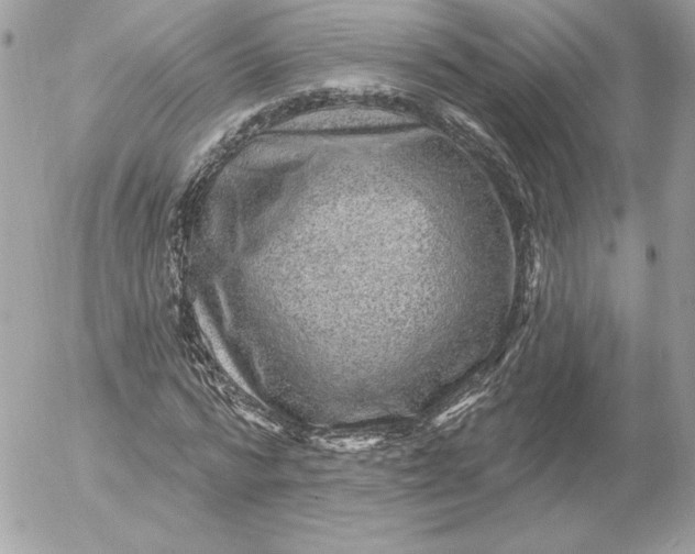 X0000052930776200507221120