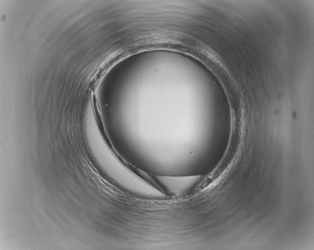 X0000052930777200507221120