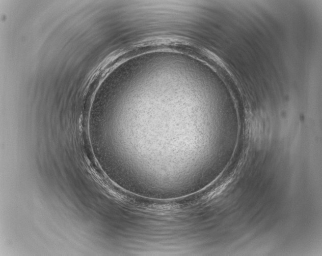 X0000052930778200507221120