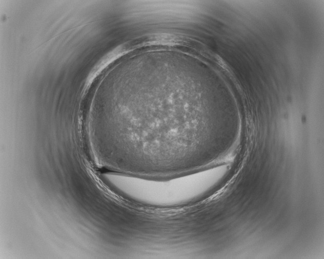 X0000052930779200507221120