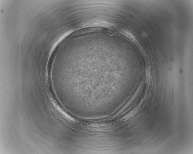 X0000052930780200507221120