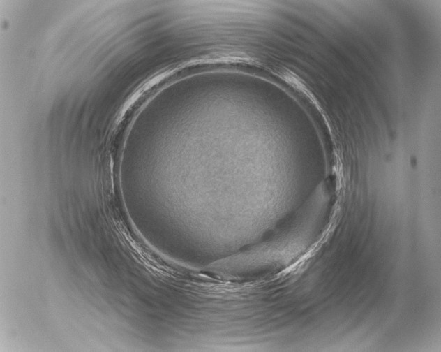 X0000052930781200507221120