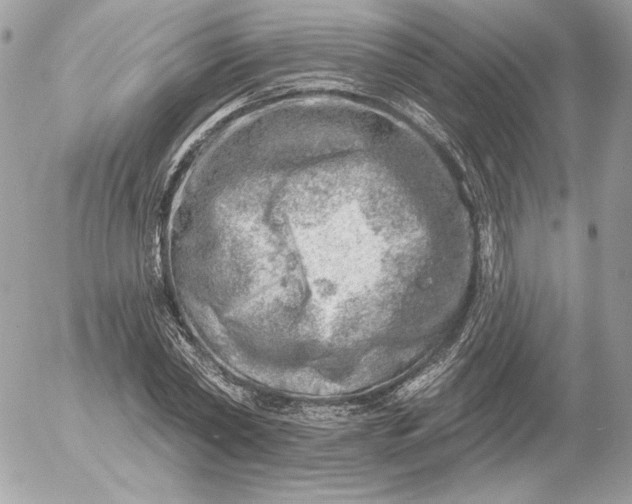 X0000052930782200507221120