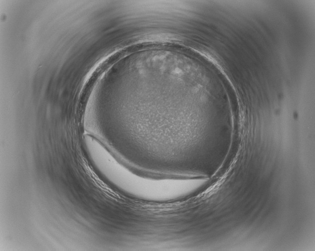 X0000052930783200507221120