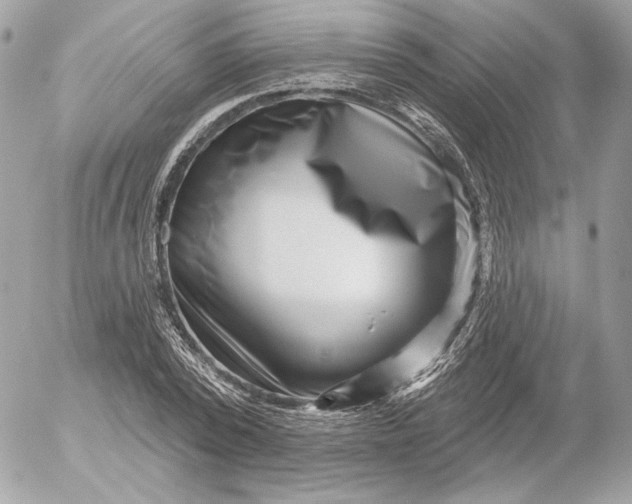 X0000052930784200507221120