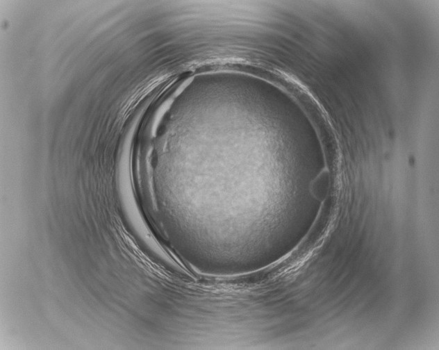 X0000052930785200507221120