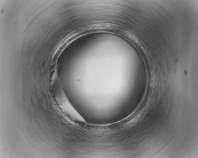 X0000052930786200507221120