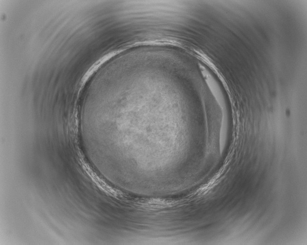 X0000052930787200507221120