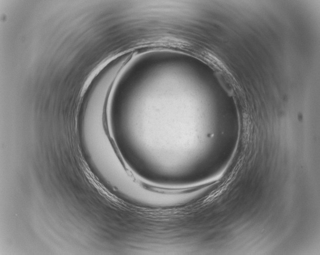 X0000052930788200507221120