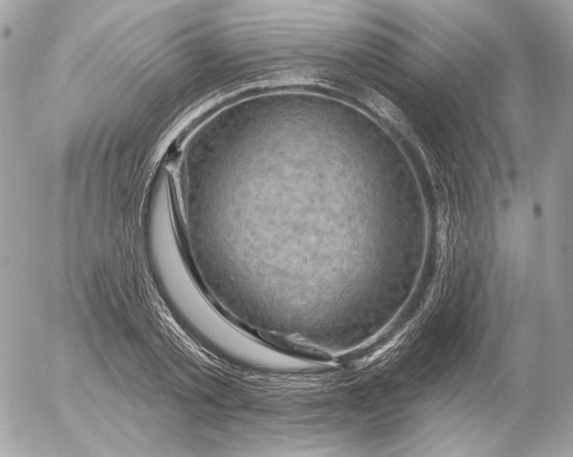 X0000052930789200507221120