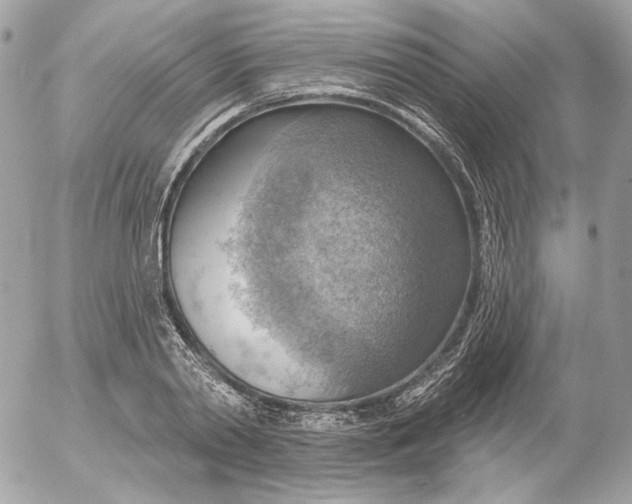 X0000052930790200507221120