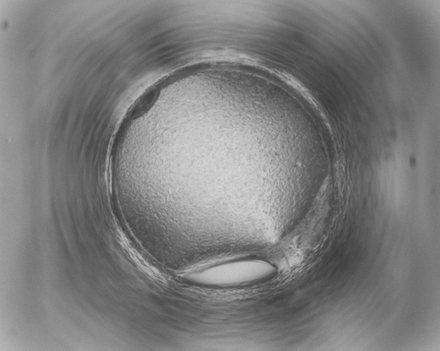 X0000052930791200507221120