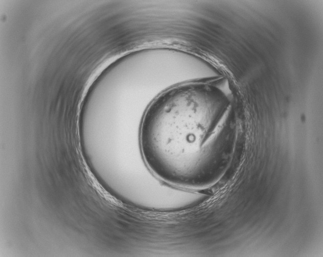 X0000052930792200507221120