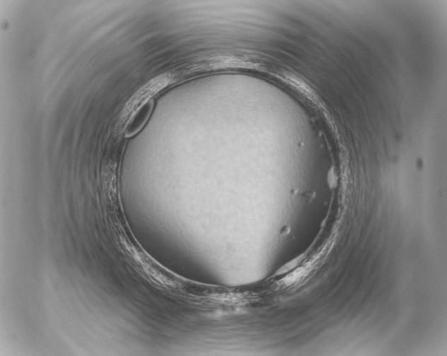 X0000052930793200507221120