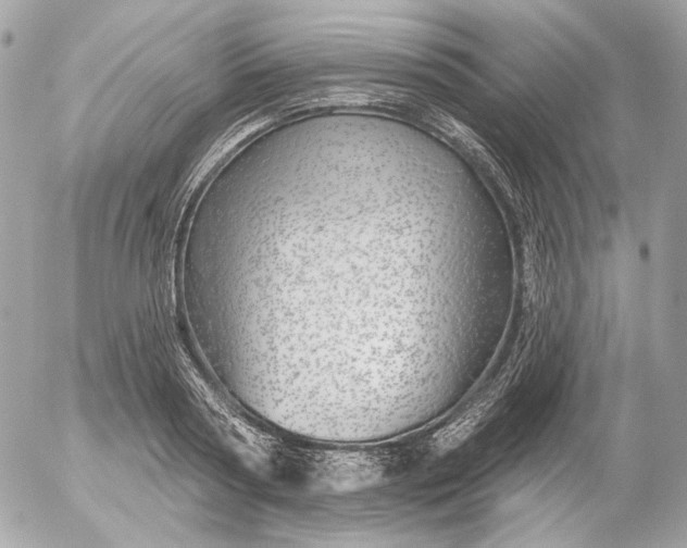 X0000052930794200507221120