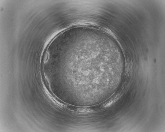 X0000052930795200507221120