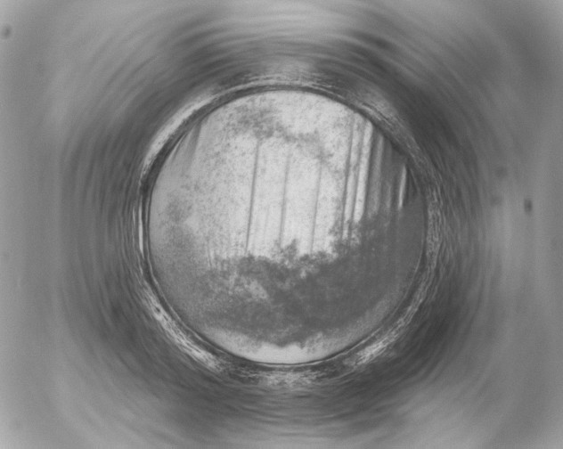 X0000052930796200507221120