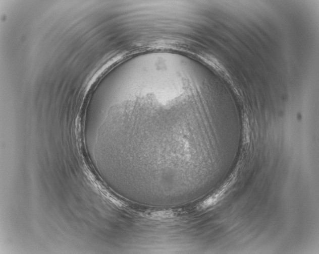 X0000052930798200507221120