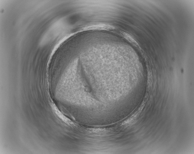 X0000052930800200507221120