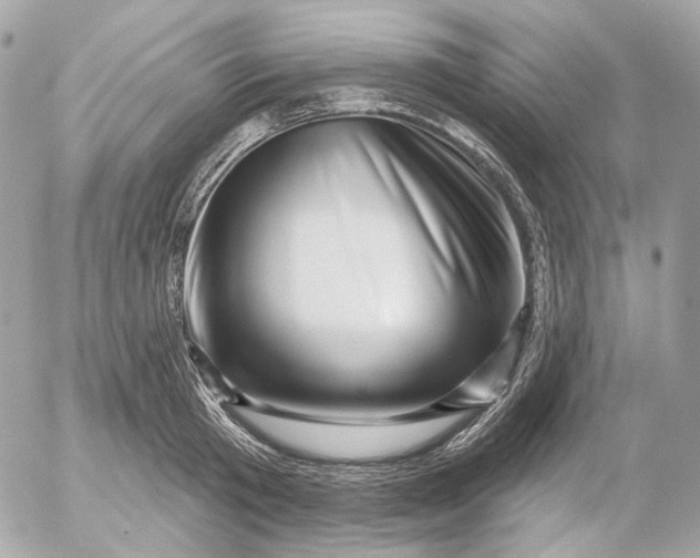 X0000052930801200507221120