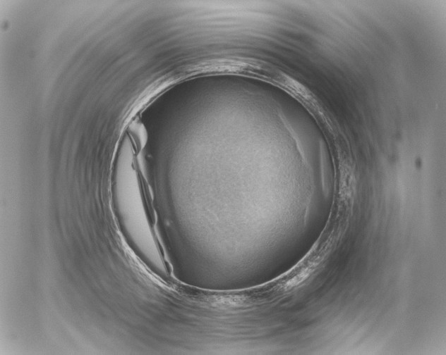 X0000052930802200507221120