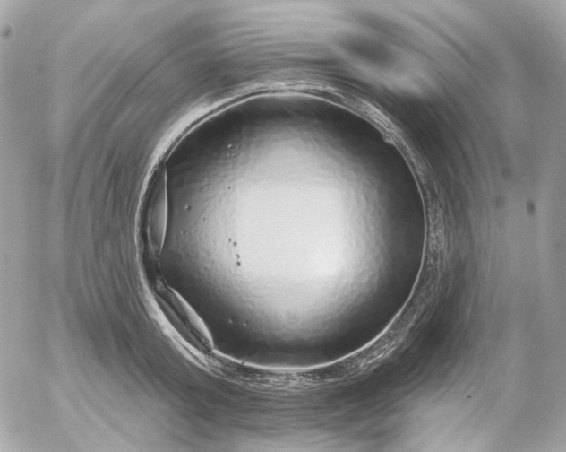 X0000052930803200507221120