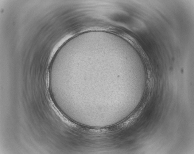 X0000052930804200507221120