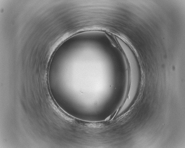 X0000052930805200507221120