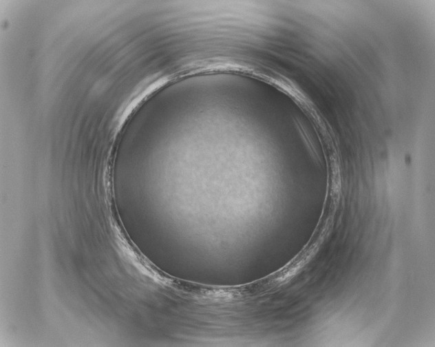 X0000052930806200507221120