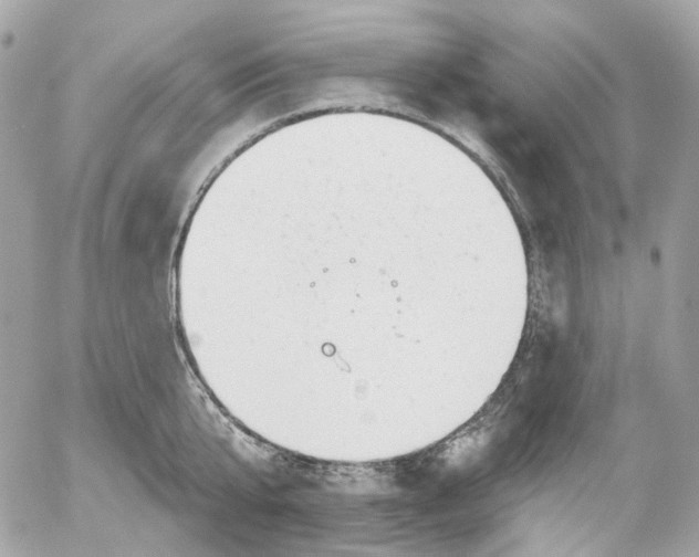 X0000052930807200507221120