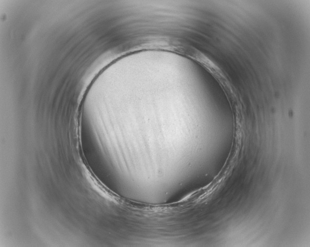 X0000052930808200507221120