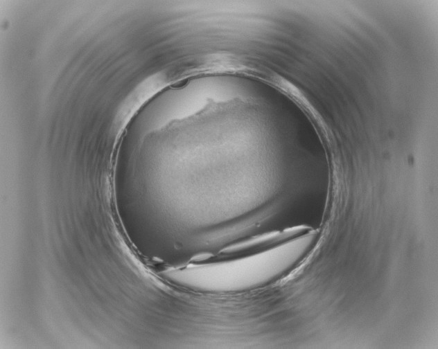 X0000052930810200507221120