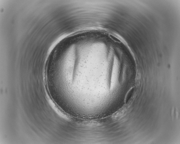 X0000052930811200507221120