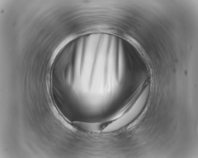 X0000052930812200507221120