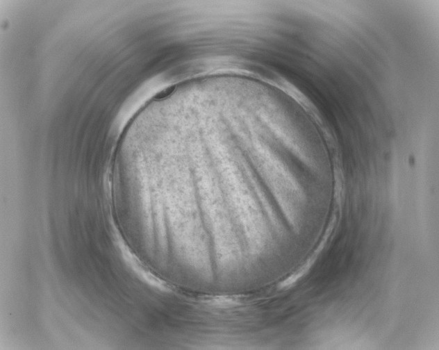 X0000052930814200507221120