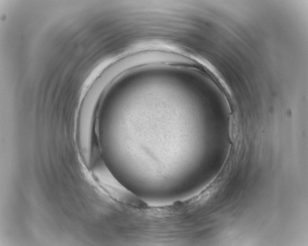 X0000052930815200507221120