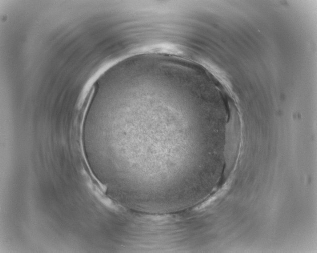 X0000052930816200507221120