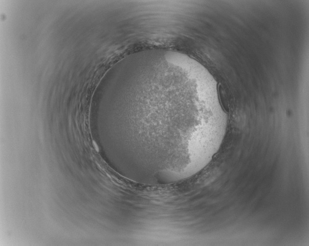 X0000052930817200507221119