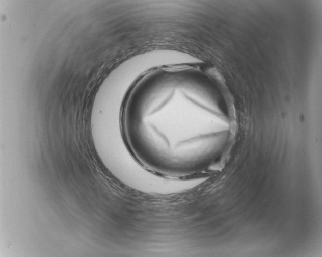 X0000052930818200507221119