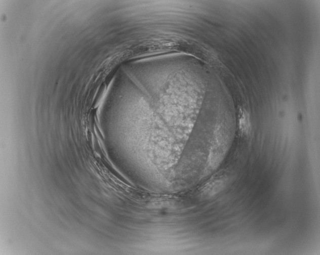 X0000052930819200507221119