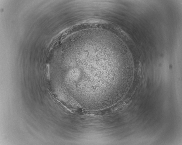 X0000052930821200507221119