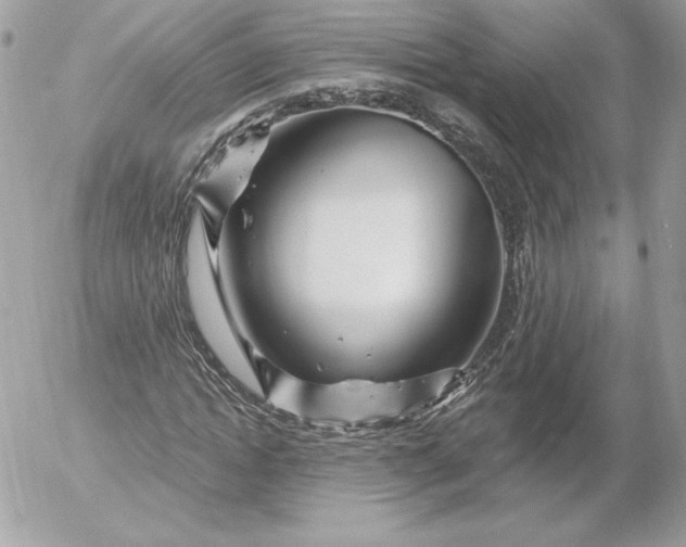 X0000052930822200507221119