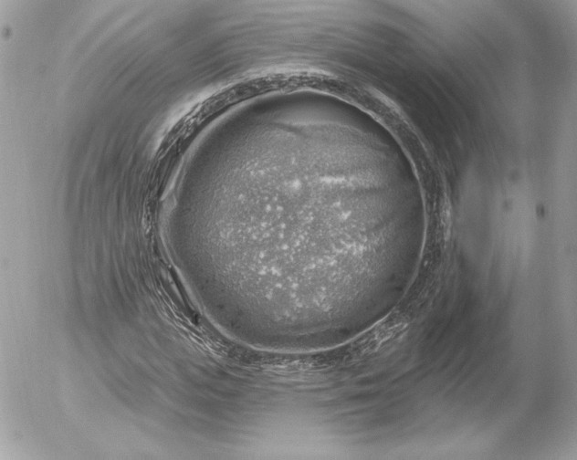 X0000052930823200507221119