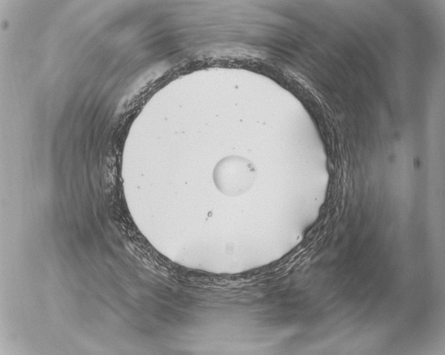 X0000052930824200507221119