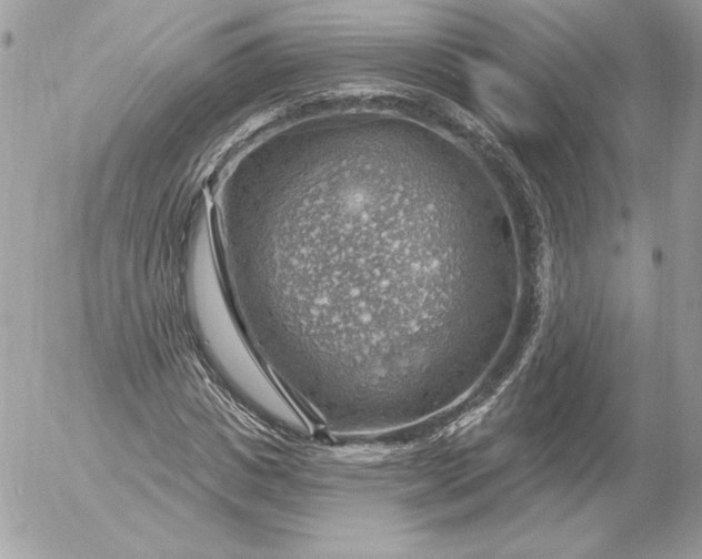 X0000052930825200507221119