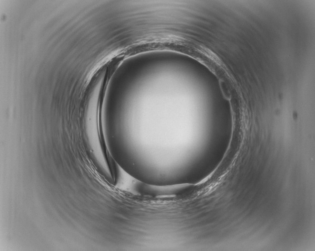 X0000052930826200507221119