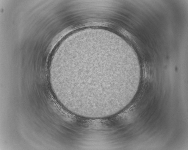 X0000052930828200507221119